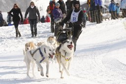 Lenk 2012 SM